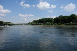 DSC00428