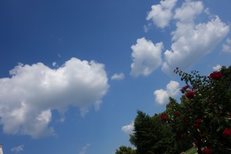 DSC00441