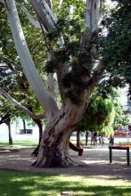 DSC00448
