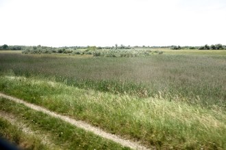 DSC00478