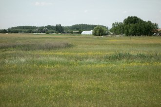 DSC00498