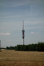 DSC00515