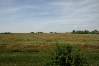 DSC00526