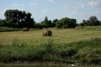 DSC00619
