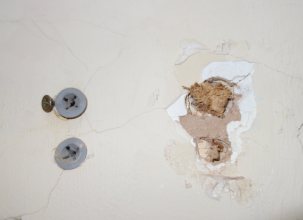 Z_DSC03704