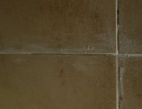 Z_DSC03810