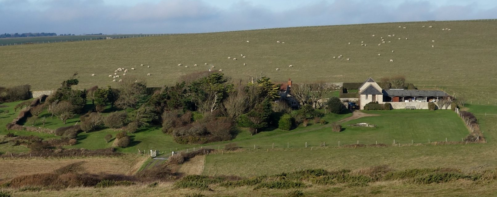 DSC03971