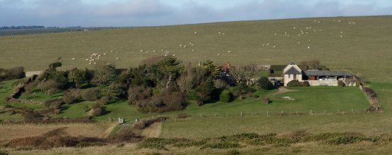 DSC03971