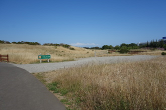 DSC04571