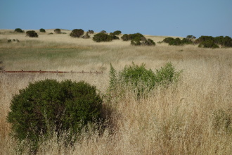 DSC04582