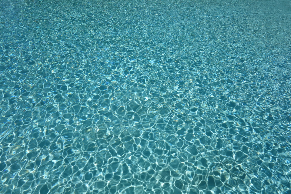 DSC04905