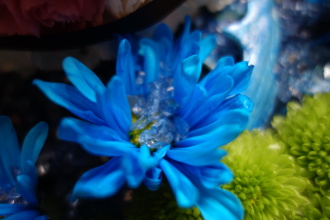 DSC04806