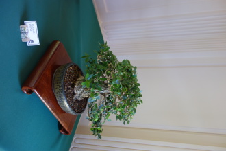 DSC04921