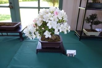 DSC04922
