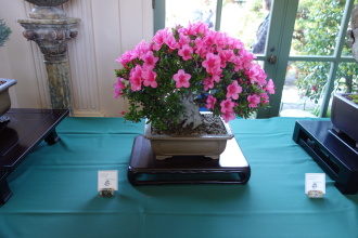 DSC04943