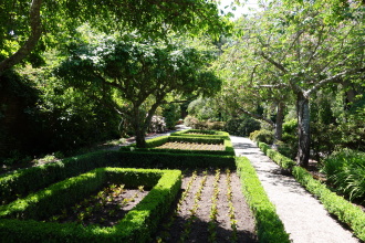 DSC04953