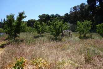 DSC04954