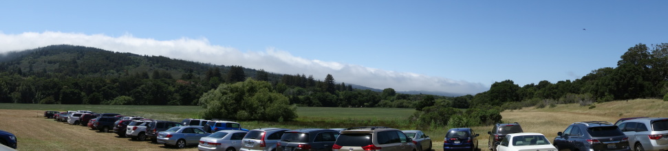 DSC05019