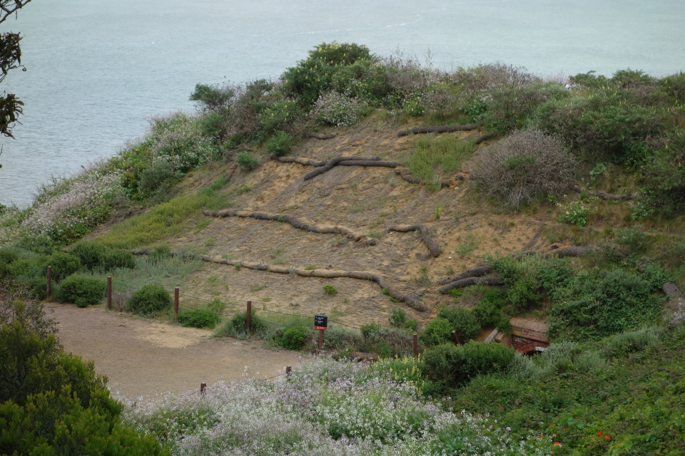 DSC05096