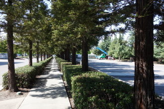 DSC05594