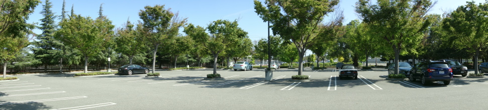 DSC05598