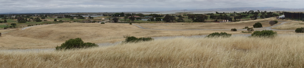 DSC05670