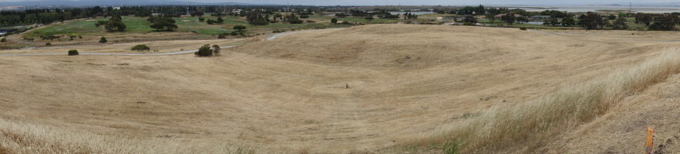 DSC05675