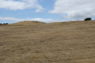 DSC05682
