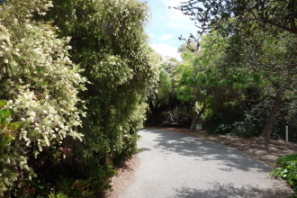 DSC05759