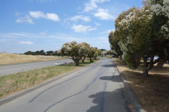 DSC05768