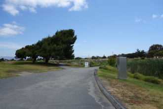 DSC05784