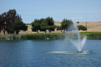 DSC05787