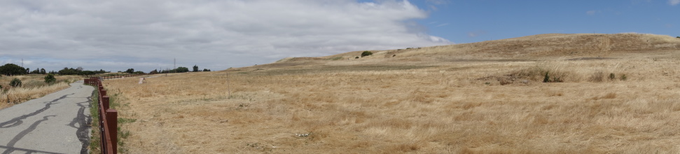 DSC05819