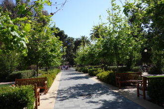 DSC05840