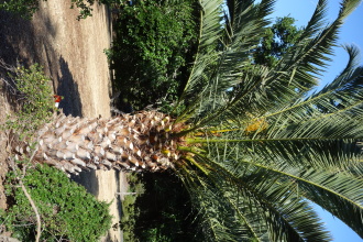 DSC05984