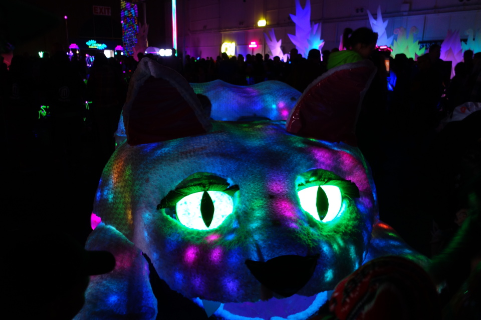DSC06378