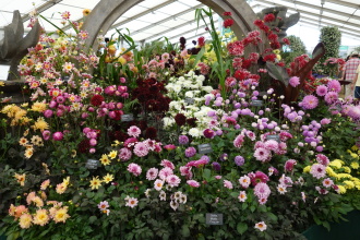 DSC06657