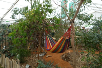 DSC06754