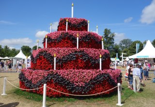 DSC06776