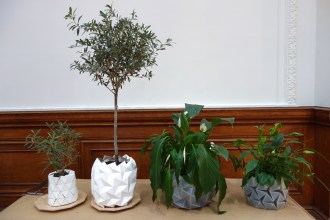 DSC07002