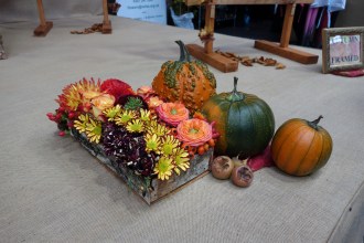 DSC07176