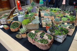 DSC07190