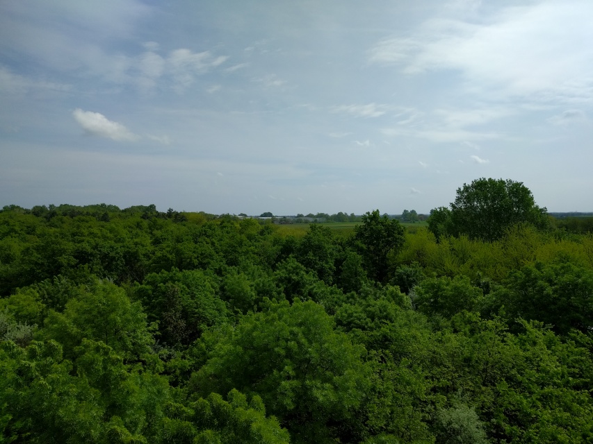 IMG_20160501_101500