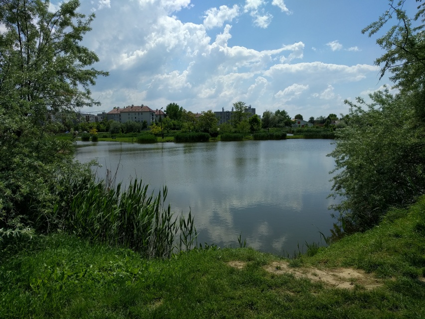 IMG_20160505_125941