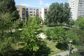 DSC07331