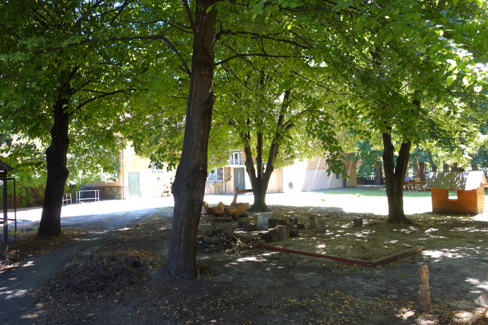 DSC07629