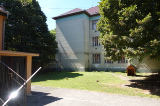 DSC07534