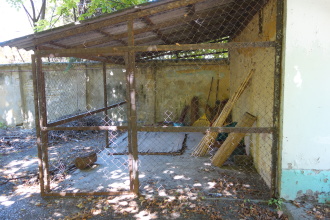 DSC07624