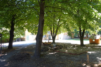 DSC07629