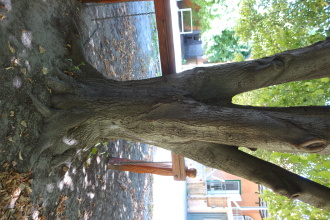 DSC07637